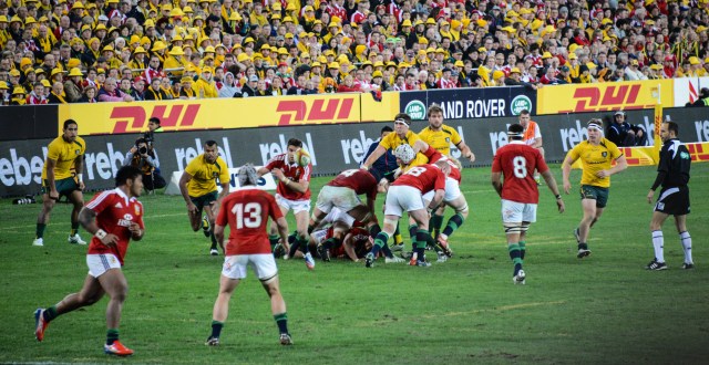 Lots of yellow hats but no joy in the ranks of the Wallaby supporters