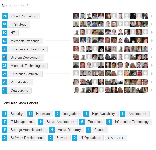 My LinkedIn endorsements as of November 11, 2013