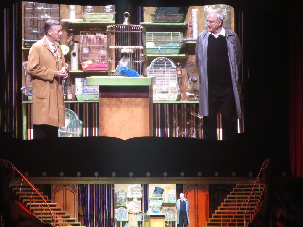 Lovely Parrot that has ceased to be and is no more...