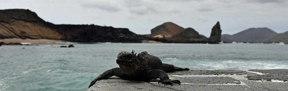 Galapagos Photo Experiences