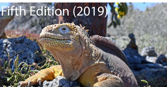 Office 365 for IT Pros